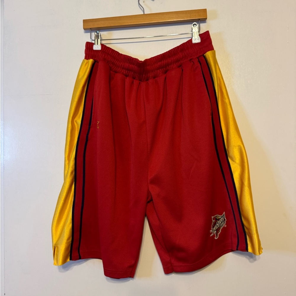 Men's Iowa State Shorts -‎ Large